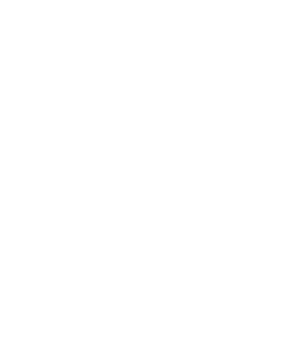 National Society of Black Engineers logo