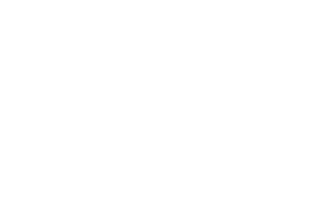 National Space Society logo